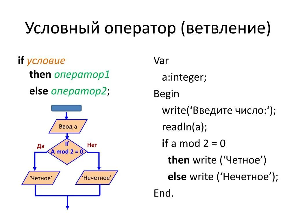 Алгоритм ветвления питон. Условные операторы ветвления питон. Программа if else Паскаль. Паскаль алгоритм с условием. 1 0 pascal