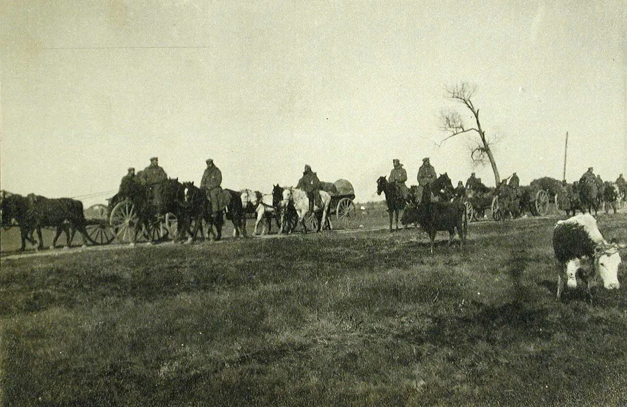 Горлицкий прорыв 1915 года карта. Отступление галиция 1915. В 1915 году в войну вступила. Наступление немецких войск в галиции. Великое отступление 1915 карта.