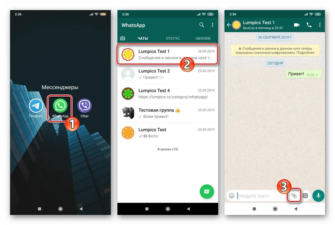 Ватсап на андроид. Вотц ап на андроиде. Чат ватсап на андроиде. Кнопки в ватсапе. Как из телеграмма переслать whatsapp