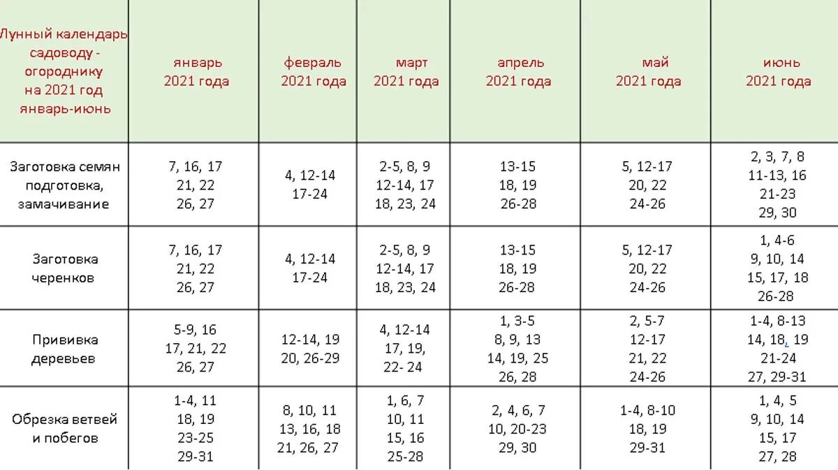 Календарь посева 2024 году сроки. Лунный календарь 2021 огородника посадка рассады. Лунный календарь на 2021 год садовода и огородника. Лунный календарь посевной на 2021 садовода и огородника. Лунный календарь огородника на 2021 посевной на 2021 год садовода.