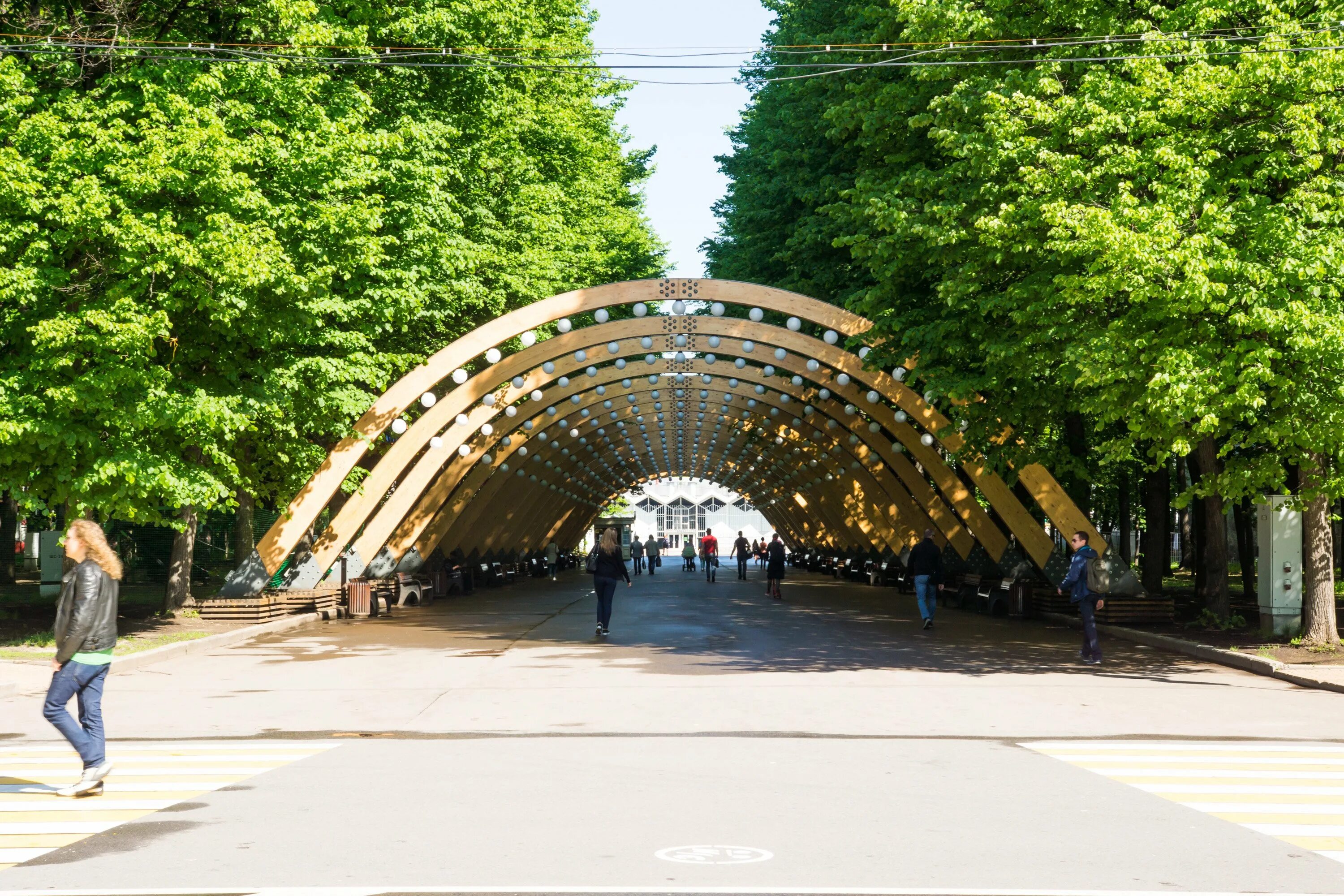 В каком парке погулять. Парк Сокольники. Московский парк Сокольники. Парк Сокольники аллеи. Парк Сокольники Москва весной.