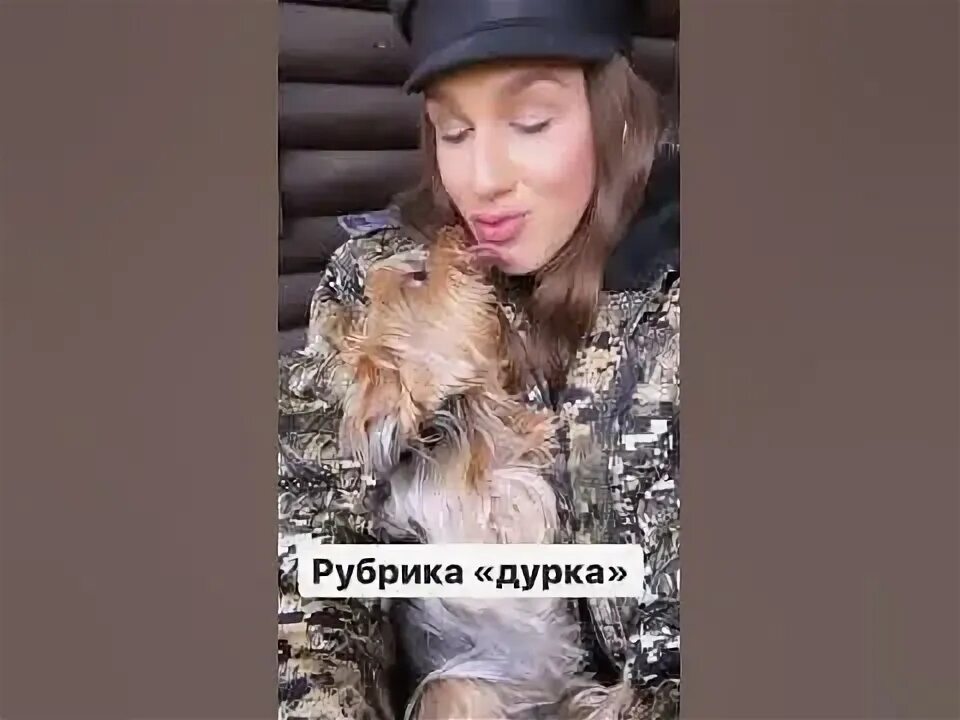 Мальтипу миша жидковский. Мальтипу миша. Собака алексея жидковского. Собака жидковского миша. Собака жидковского миша.