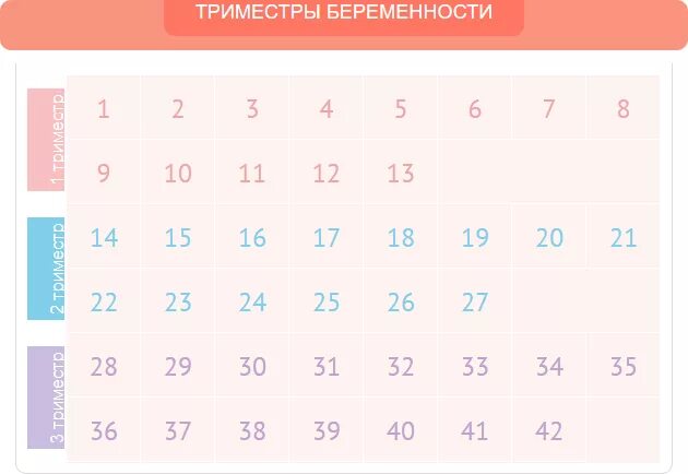 Как проходят триместры. Третий триместр беременности недели. 2 Триместр беременности недели. Триместры беременности по неделям таблица. С какого месяца начинается 3 триместр беременности.