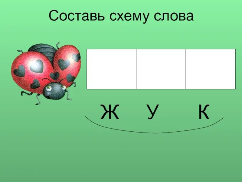 Звуки слова жук. Звуковой анализ слова Жук. Жук звуковая схема. Составь схему слова. Схема слова Жук.