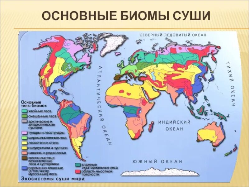 Природные зоны россии и материки. Основные типы биомов суши. Карту основные типы биомов суши. Карта биомов земли. Таблица биогеография основные биомы суши.