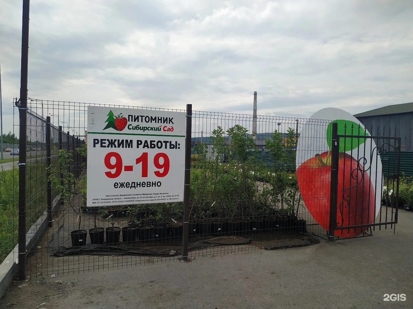 Где находится питомник. Новокузнецк магазин сибирский сад. сибирский сад новокузнецк питомник. сибирские сады новосибирск питомник. сибсад питомник новокузнецк.