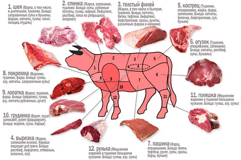 Какое мясо сочнее. Телятина разделка туши схема. схема мясо туша говяжья. схема разделки говяжьей туши. говядина схема разруба говяжьей туши.