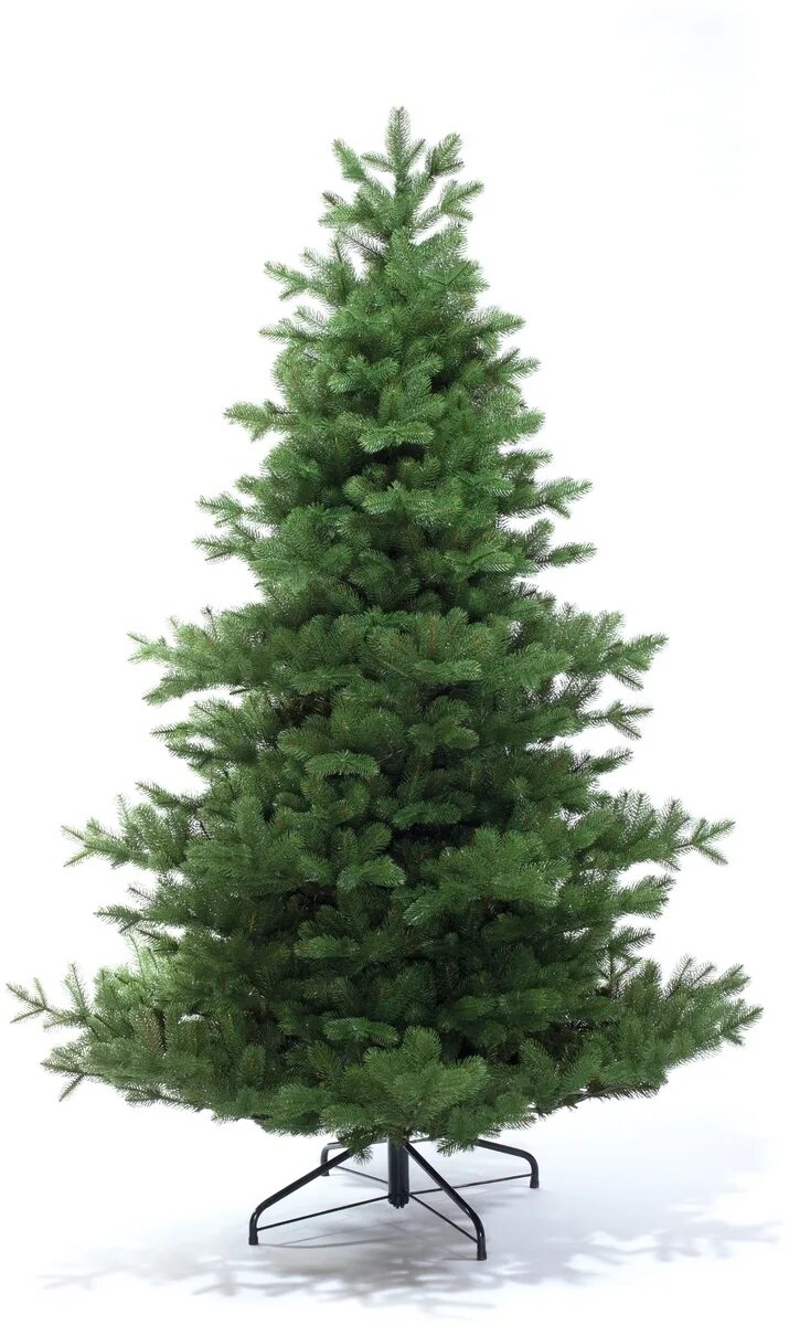 царь елка алиса 190. 9. царь елка 190. царь елка фаворит 190. ель фаворит царь елка.