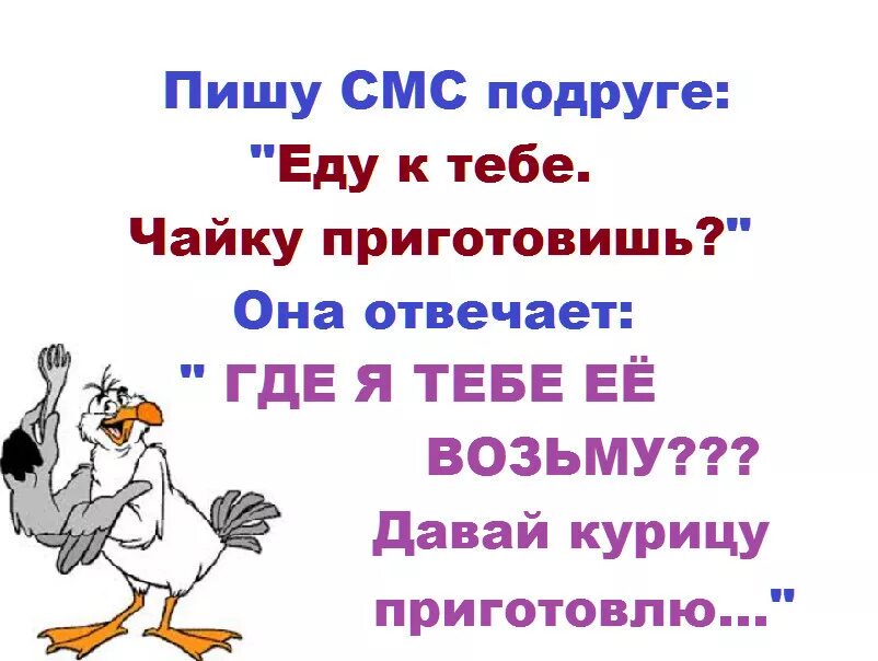 Пиши sms. Анекдот чайку приготовишь. Пишу смс подруге чайку приготовишь. Цитаты с юмором. Анекдот про чайку.