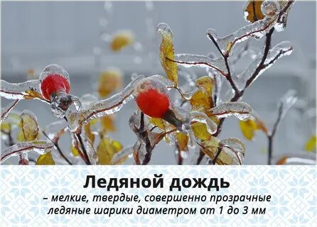 Доброе утро ледяной дождь