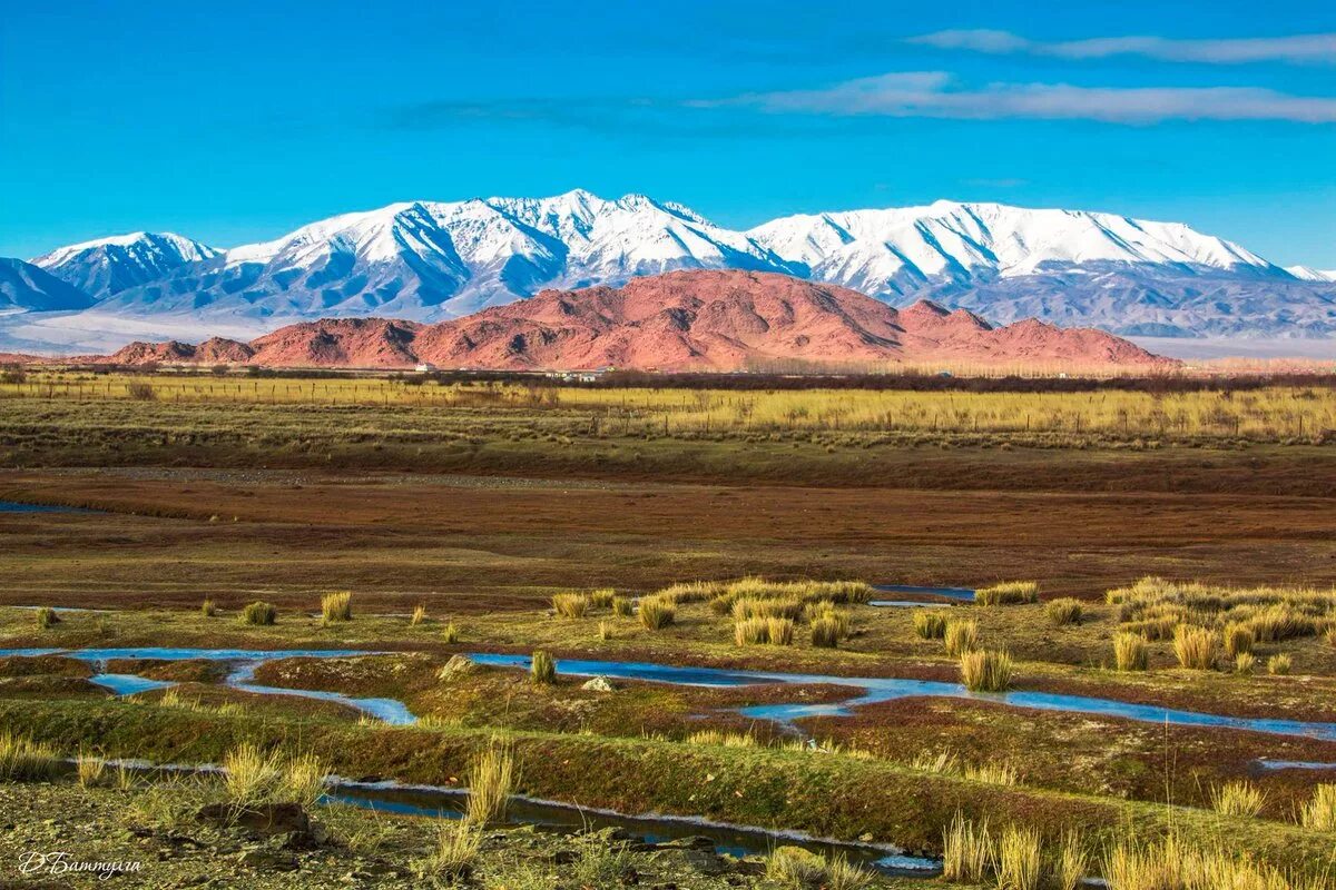 Убсунурская котловина сибирская тайга. Республика тыва ландшафт. Тува республика. Особенности климата тувы. Тип климата в тыве.