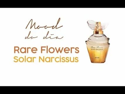 Rare flowers solar