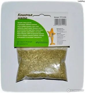 Кошачья мята сколько