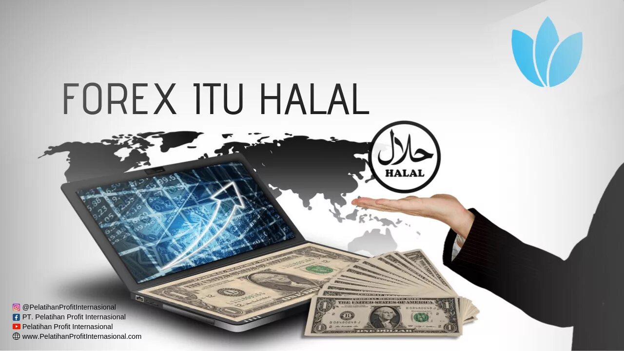 Трейдинг халяль. Fatwa forex. Halal investments. Точки входа в трейдинге. Трейдинг халяль.