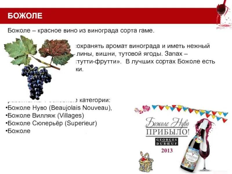 Сорт вина 9 букв. Вино божоле сорт винограда. виноград сорт гаме божоле. вино божоле сорт винограда: гаме. красное вино сорта винограда.