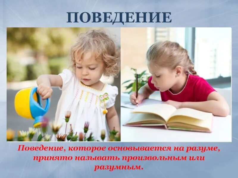 Поведение 6 класс презентация. Поведение. поведение и поступок обществознание. произвольное поведение примеры. поступок это в обществознании.