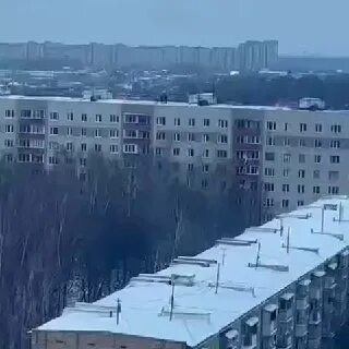 Северный соседка