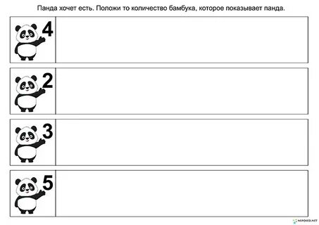 Задание панды медведя