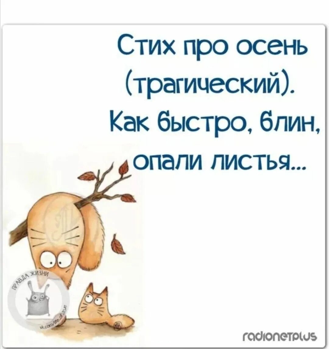 Противный стих. Смешные стихи про осень. смешные фразы про осень. смешные цитаты протосень. смешные афоризмы и высказывания.