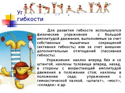 Гибкость как физическое качество