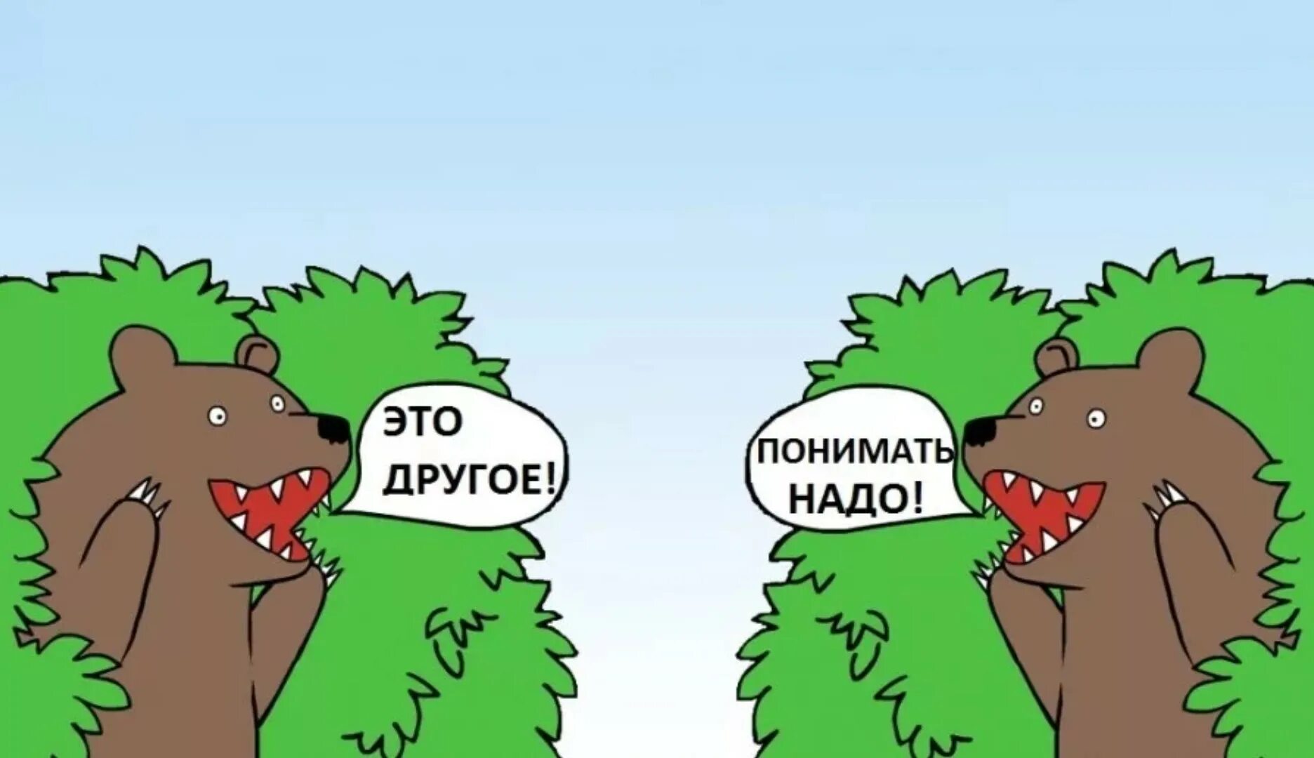 Это другое понимать надо. Вы не понимаете это другое. Вы не понимаете этоьдругое. Вы не понимайте это другое. Гооол мем с медведем