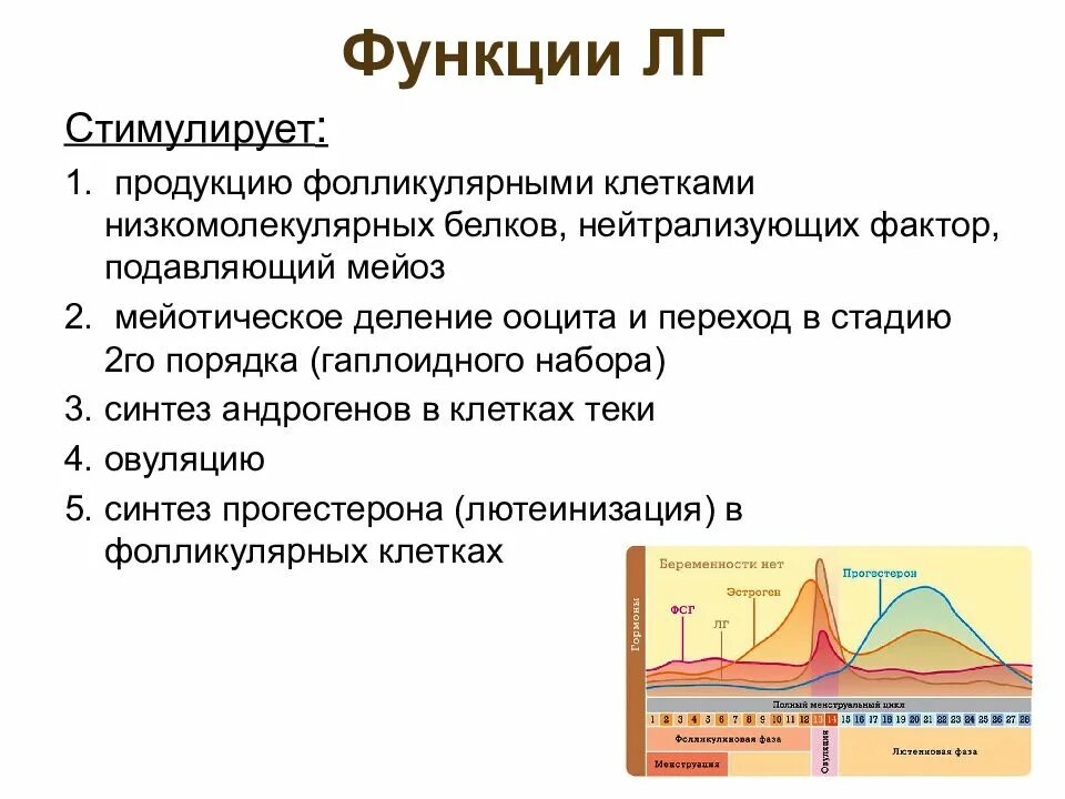 Лг что это