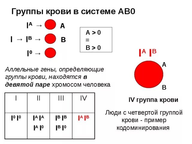 Первая группа имеет генотип. Гены определяющие группу крови системы АВО. Наследование групп крови по системе АВО задачи. Гены 4 группы крови. Взаимодействие аллельных генов примеры.