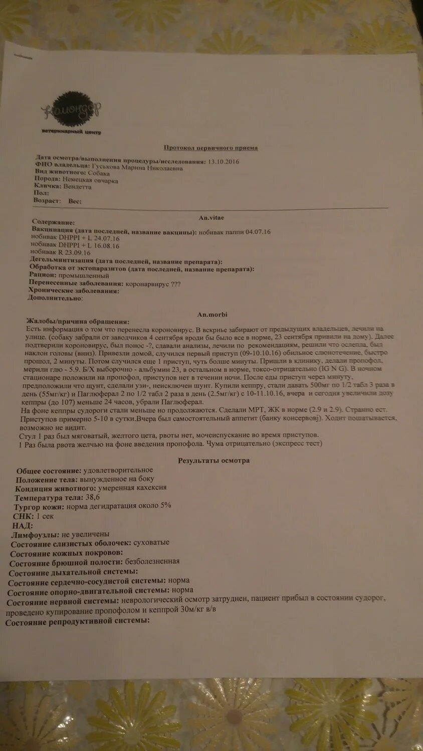 Протокол первичного осмотра животного. Первичный осмотр собаки протокол. Протокол дерматологического приема собаки. Неврологический осмотр кошки протокол.