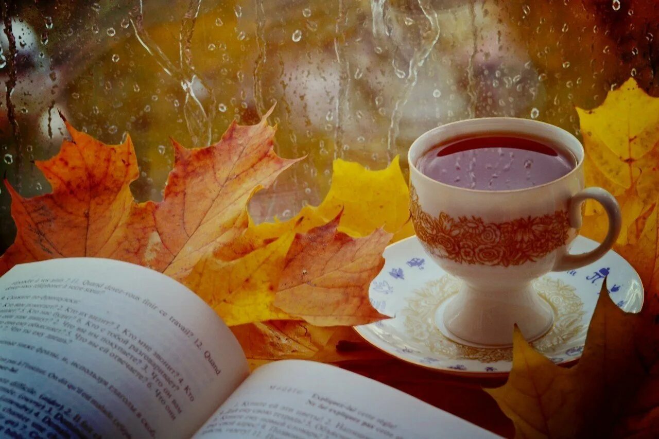 Утро выдалось прохладное золотое. Чашка чая осень. Осеннее чаепитие. Осеннее утро. Осенний чай.