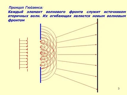 Принцип света