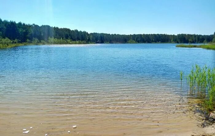 Сосновское каменский. Озеро Городецкое Лужский район. Фролищенские озера Нижегородской. Озеро Сосновское Свердловская область. Марченково озеро.