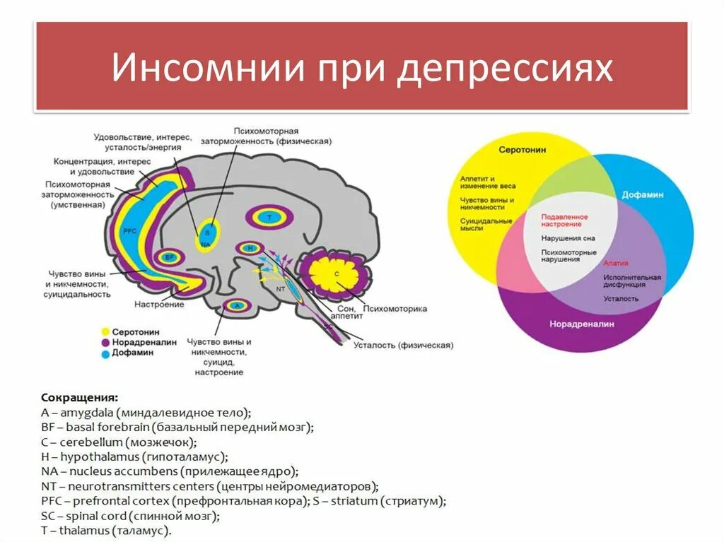 Нейромедиаторы схема действия. Депрессия серотонин дофамин норадреналин. Медиаторы головного мозга. Нейромедиаторы головного мозга.