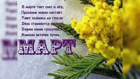 Последние дни стих