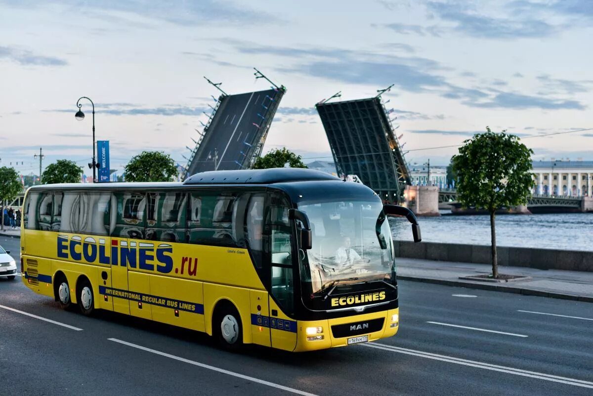 Автобусные туры из петербурга в новгород. Ecolines автобусы. Автобус Ecolines Санкт-Петербург. Автобусы Москва Санкт-Петербург Ecolines автобусы. Автобусы Ecolines СПБ.