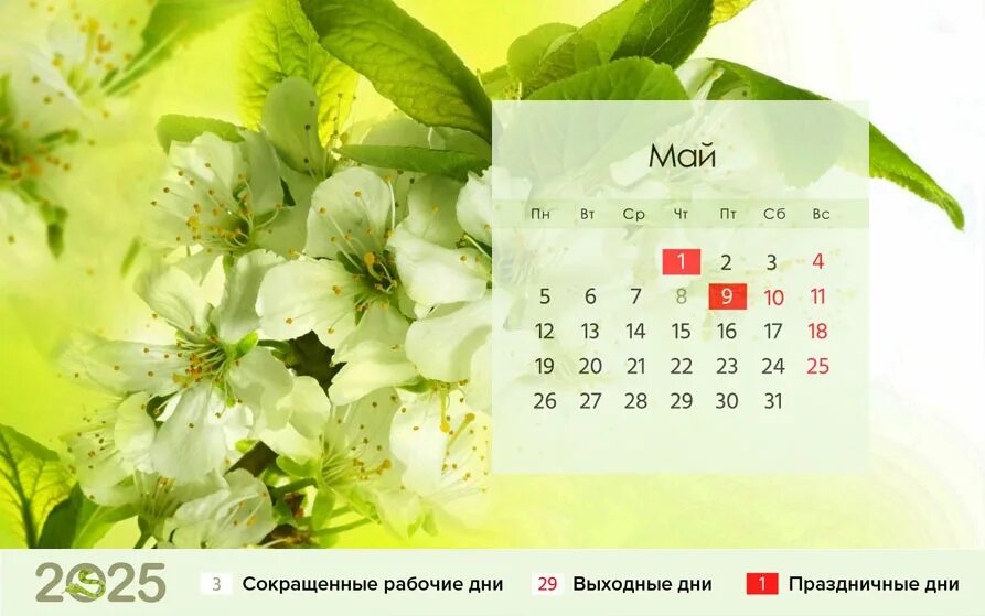 Праздничные выходные 2025г