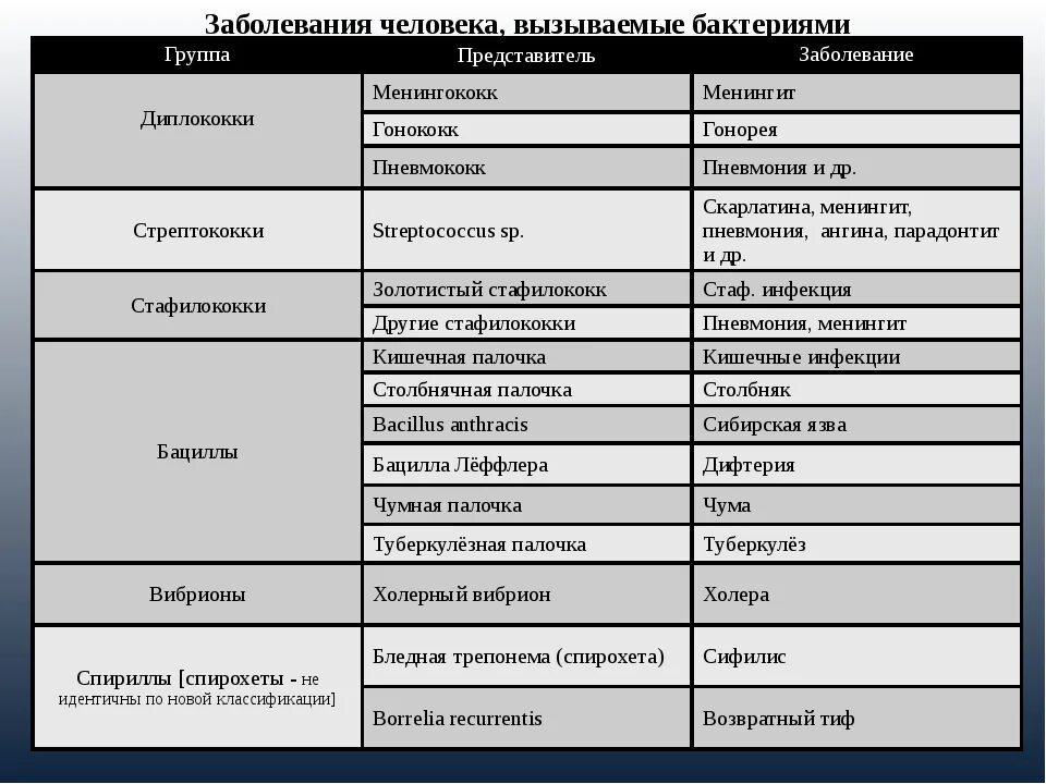 Бактерии примеры заболеваний. Болезни вызываемые бактериями и вирусами таблица. Вирусные и бактериальные заболевания таблица. Болезни вызываемые вирусами таблица. Бактерии возбудители заболеваний человека таблица.