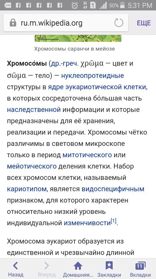 Почему число хромосом в клетках постоянно 6. Какое значение имеют хромосомы.