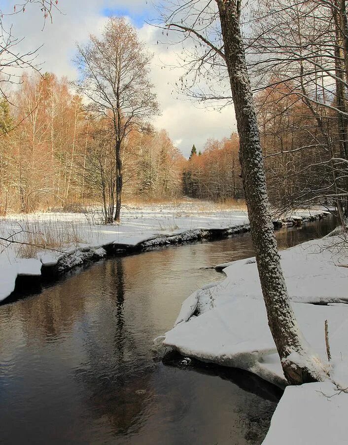 Самая лучшая ранняя. Ранняя весна. март природа. красивые пейзажи ранней весны. ранняя весна природа.