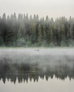 Туман видима