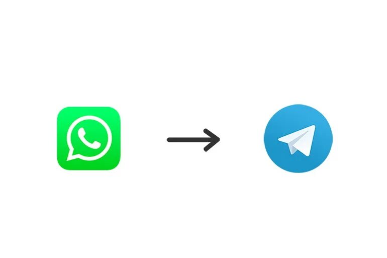 From modules import telegram. Из whatsapp в telegram. импорт телеграм. телеграмм бьет ватсап. чат ватсап телеграм.