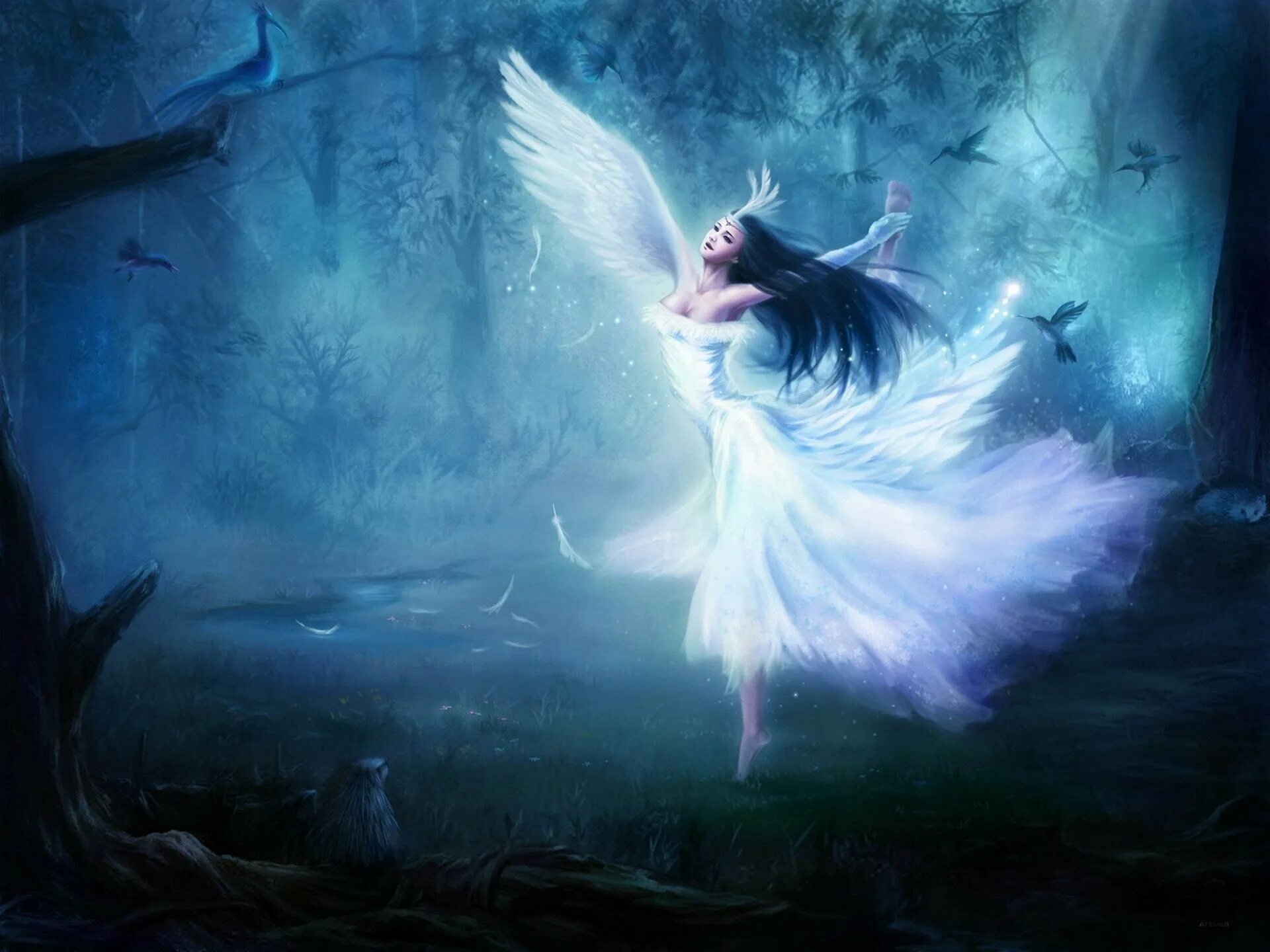 Фейри Сильфы. Фейри Сильфы эльфы. Девушка - ангел. Девушка с крыльями. Пляшущий ангел