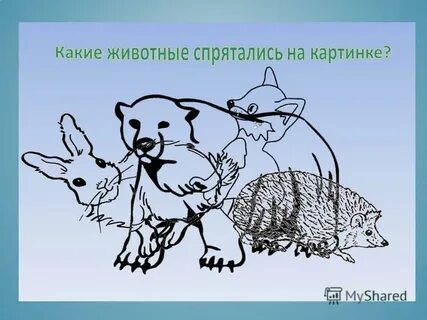 Посчитай сколько животных спряталось в этом лесу