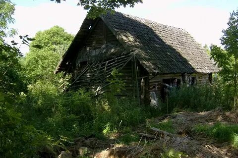 Фани хутор