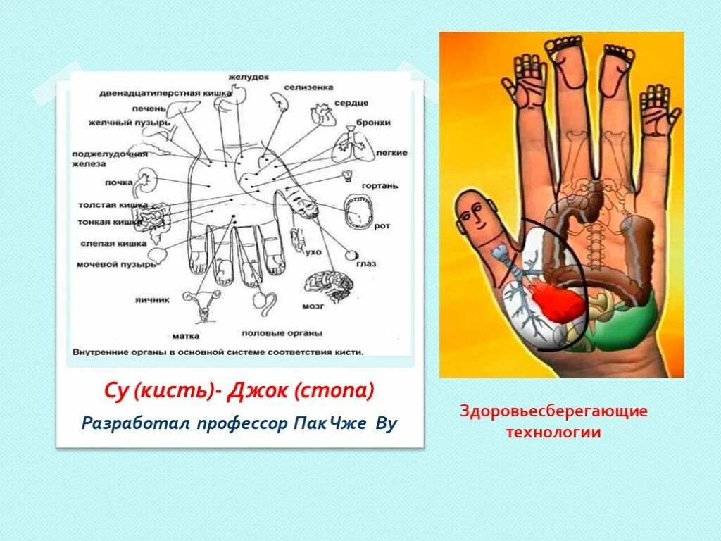 Су джок академия сайт. Су Джок терапия кисть. Су- Джок терапия самомассаж. Су Джок терапия пальцы. Су Джок терапия консультация для родителей.