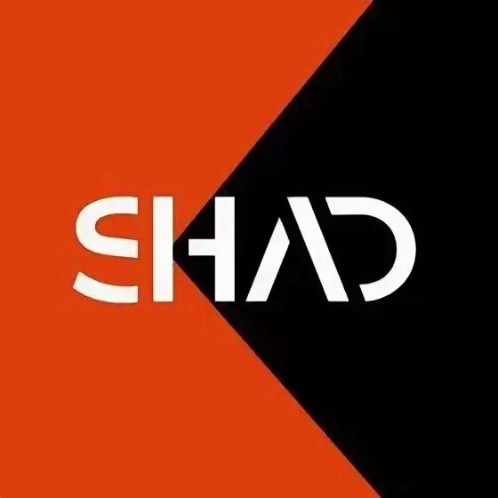 Shad школа. Shad школа архитектуры и дизайна. Школа архитектуры и дизайна на павелецкой. Школа архитектуры и дизайна. Shadow school.