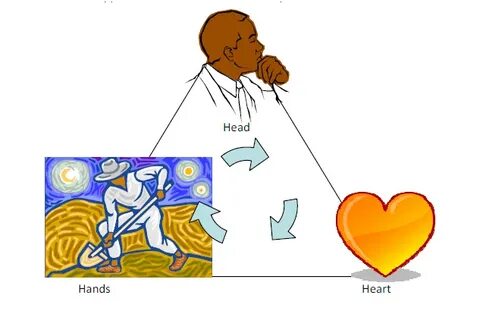 Learn the heart
