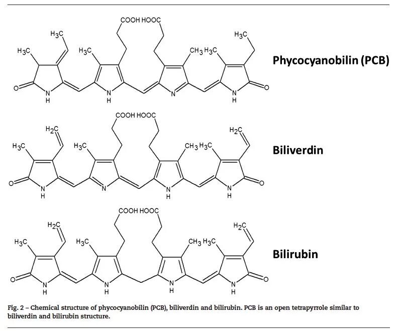 Hooc ch. Фикоцианин структурная формула. Биливердин. Биливердин формула. Биливердин структурная формула биливердин.
