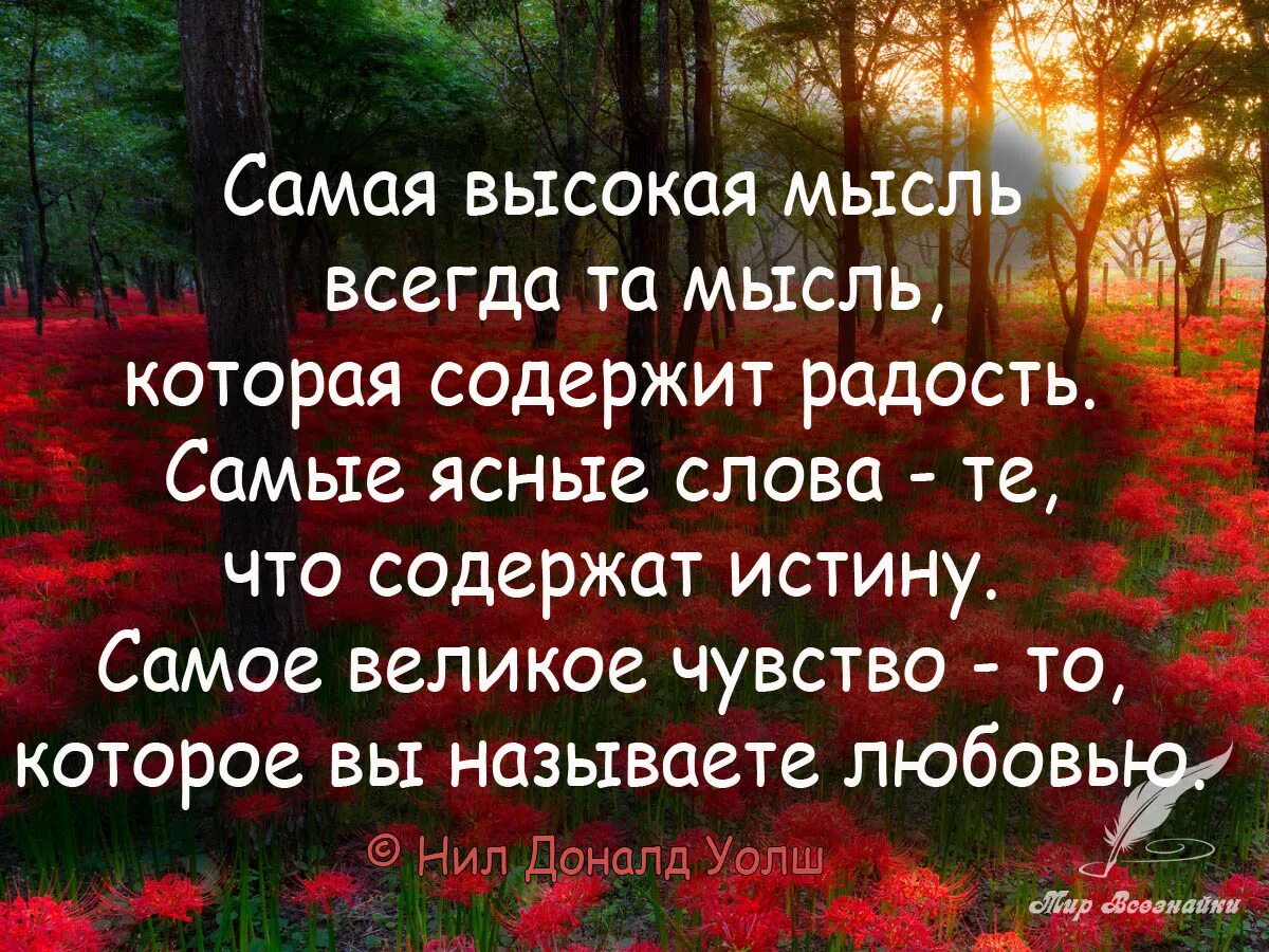 Самой ценной мыслью. Мудрые мысли на каждый день. Мудрость жизни радости в жизни. Мудрые мысли и высказывания. Цитата дня мудрая.