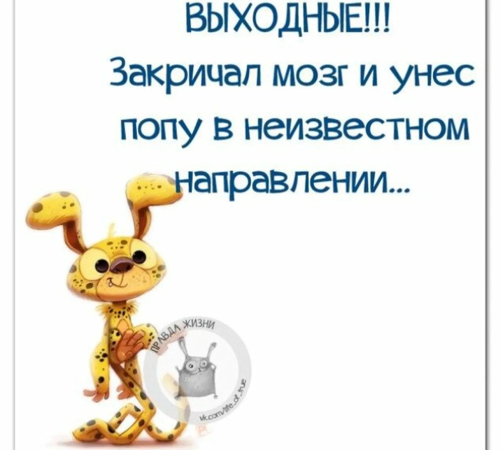 Выходные слова. Высказывания про выходные. цитаты про выходные. статусы на выходные в картинках. смешные цитаты про выходные.
