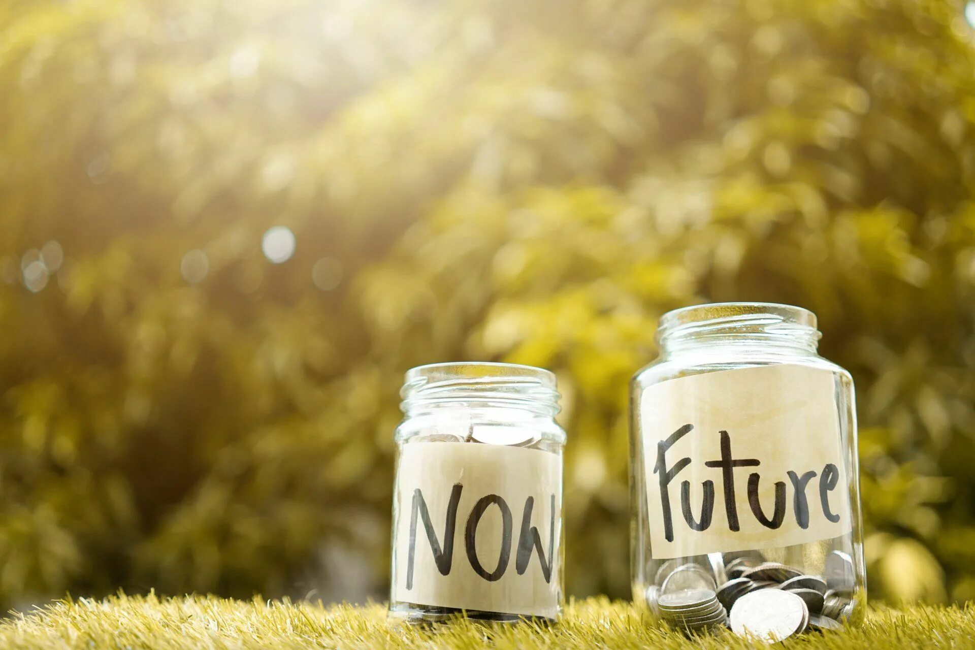 Save future. Saving money for the future. save money for. savings goal в виде банки. saving hands.
